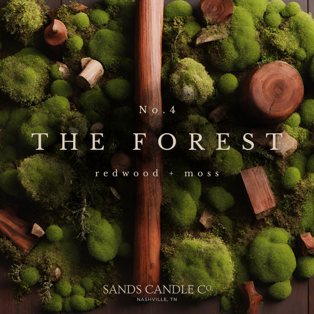 No. 4 The Forest : Redwood + Moss